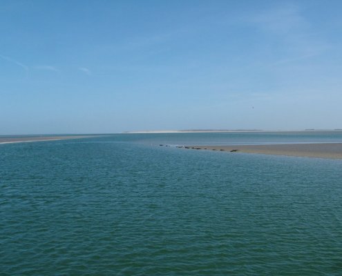 Hotel Logierhus Langeoog - Hotel Langeoog - Angebote