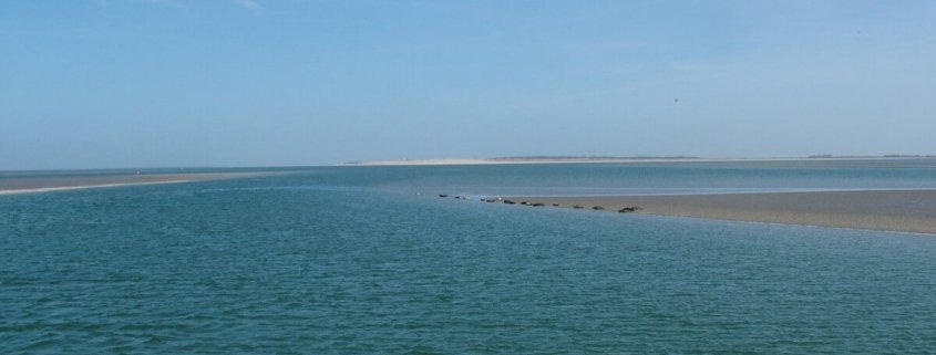 Hotel Logierhus Langeoog - Hotel Langeoog - Angebote